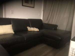 Wanted: Couches, dinning table 