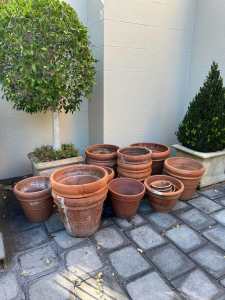 TERRACOTA PLANT POTS OUTDOORS PRICE FOR THE LOT 7 LEFT