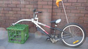 TAG A LONG , CO-PILOT Trailer bicycle