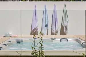 Hydro Max Spas Swim Spas Plunge pool 