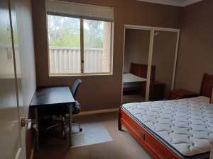 Room for rent in Morley