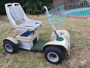Ride on Golf Cart
