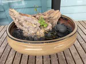 Bonsai Pot with Ivy