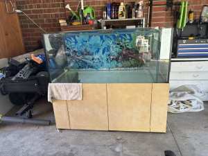Fish tank and cabinet