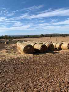 hay round bales wanted wanted