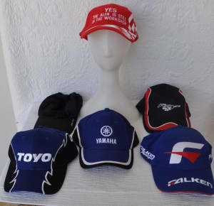 6 collectable hats, price all