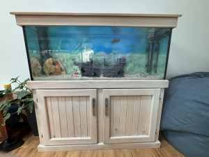 4ft Fish Tank