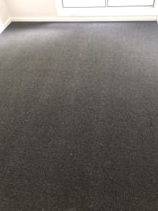 New Carpet- Excellent Condition