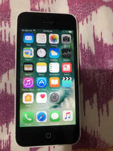 Apple iPhone 5 16GB Black with white case