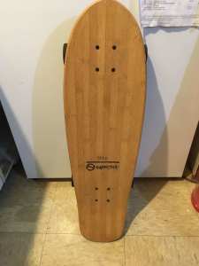 Earthship skateboard 22x80 cm