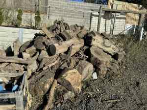 Firewood, unsplit 