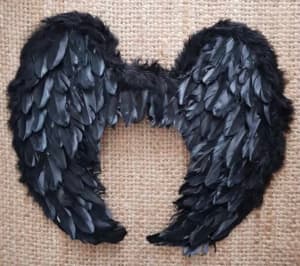 Black Angel Wings Festival/Costume/Xmas