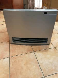 Rinnai avenger 25 gas heater with remote