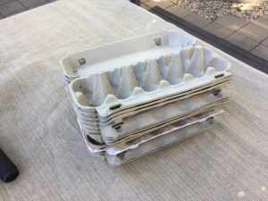 Egg cartons (free, clean) x 11
