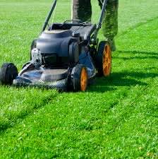 Wanted: Monthly lawn mowing needed