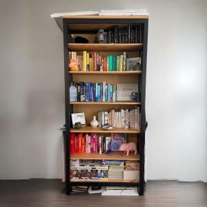 IKEA Hemnes bookcase