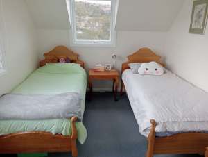 Two matching single beds (matresses not included)