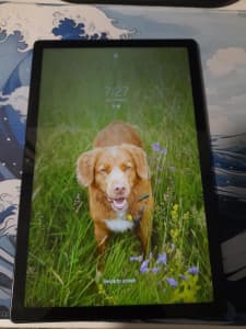 Samsung Galaxy A8 Tablet 64gb storage 