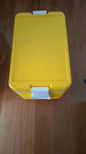 Insulated cooler