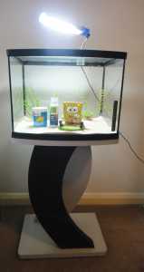 USED Fish Tank Aquarium 46L inclu. light, accessories and stand $130