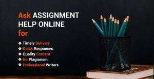 Guaranteed Success: Essay Writing, Reflections, and Test Services
