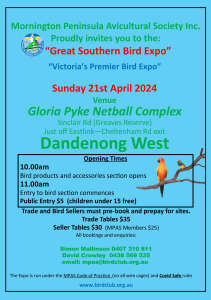 Bird Expo in Dandenong