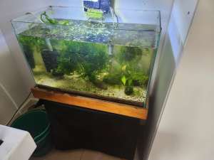 2ft fish tank with stand 
