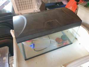 2x Fish Tanks for sale, one with light