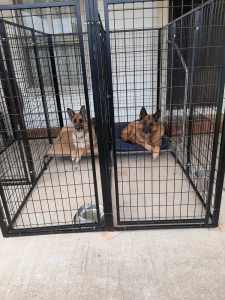 Two Dog Kennel Super Heavyduty Enclosure Pen for German Shepherd Pet