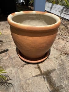 Large terracotta pot with saucer 41cm high and 41cm diameter
