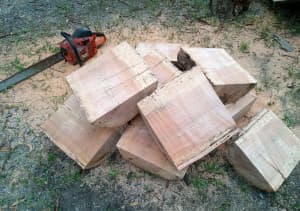 silky oak blocks for wood turning or carving $8 each
