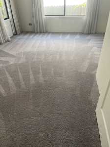 Carpet cleaning start from $90