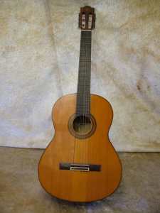 yamaha accoutic guitar g-231ll