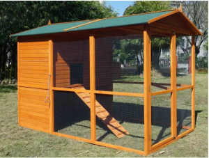 Extra large walk in chicken coop (band new)