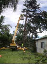 Cheap & fast Tree cutting/ tree removal/ service all Sydney 