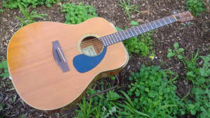 suzuki acoustic guitar price