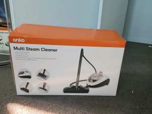 Multi steam cleaner