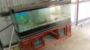 Free Fish Tank FOR FREE