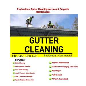 ✅️ Gutter Cleaning Services ✅️ Roof Maintenance 