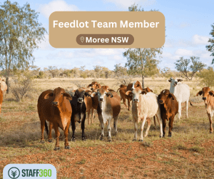 Feedlot Team Staff Member