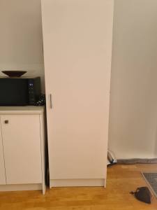 Storage cupboard with shelves in good condition