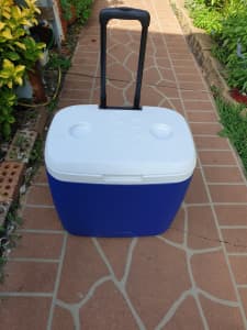 Medium sized esky holds up to 30L