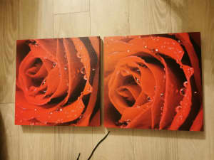 Red Rose Canvas x2