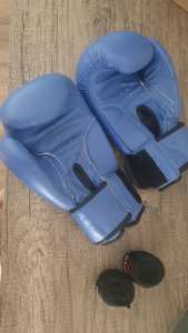 16 OZ Blue Boxing Gloves and Sting Straps