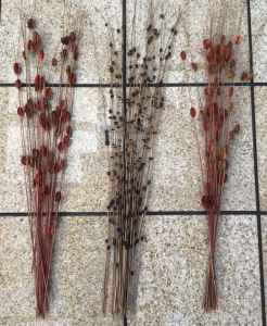 Decorative dried grasses (2), red/gold - $7.50 each or 2 for $10