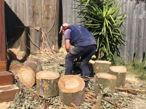 Tree lopping & Expert pruning