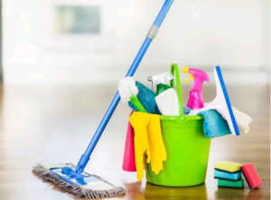 Professional Experienced Cleaner Hobart 