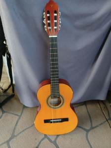 Valencia Acoustic Guitar with case