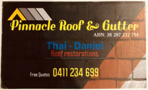 Roof painting from $2000