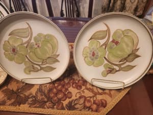 Vintage Denby Troubadour Dinner Plates x 2